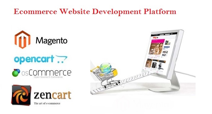 ecommerce website development platform