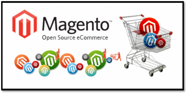 Magento eCommerce Website