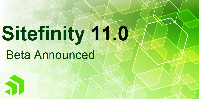 Sitefinity 11.0
