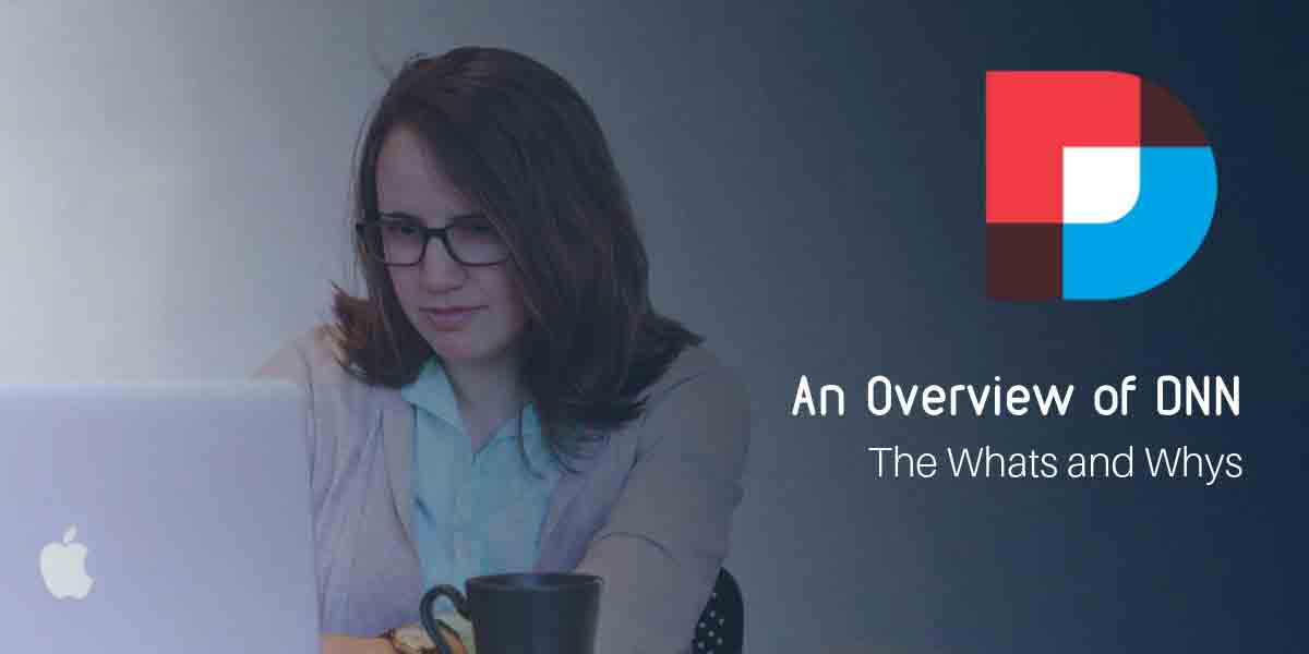 An-Overview-of-DNN-The-whats-and-whys
