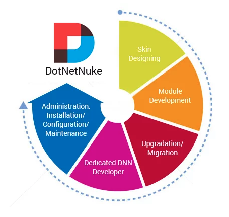 DNN Development Process