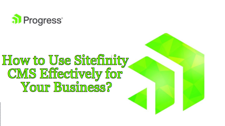 How to Use Progress Sitefinity CMS Effectively for Your Business