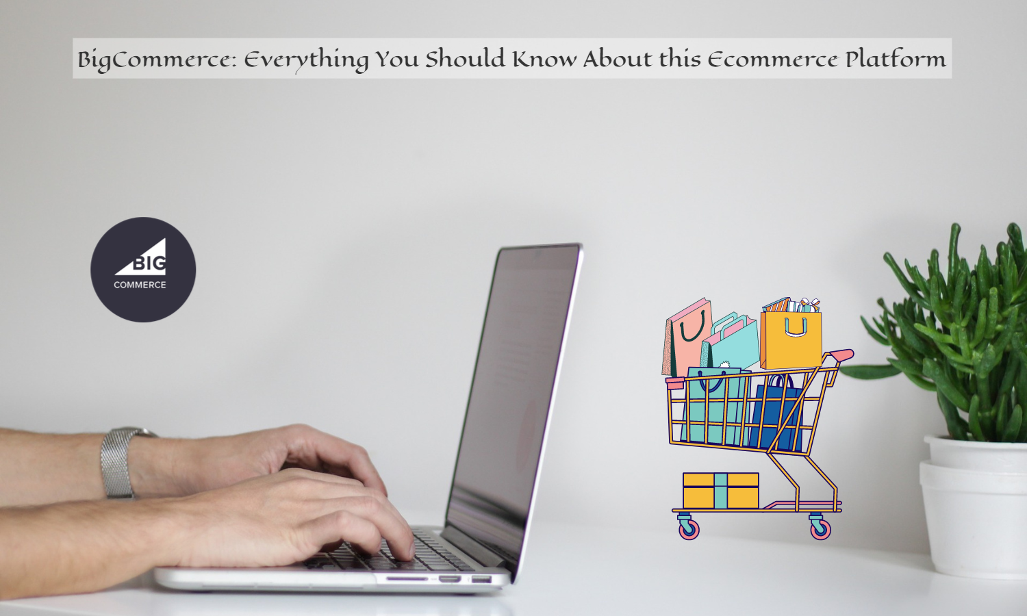 BigCommerce Everything You Should Know About this Ecommerce Platform