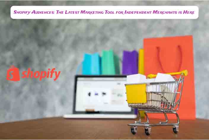 Shopify-Audiences-The-Latest-Marketing-Tool-for-Independent-Merchants