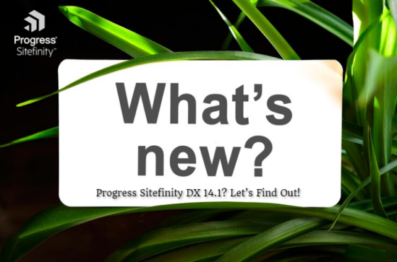 What’s New in Progress Sitefinity DX 14.1? Let’s Find Out!