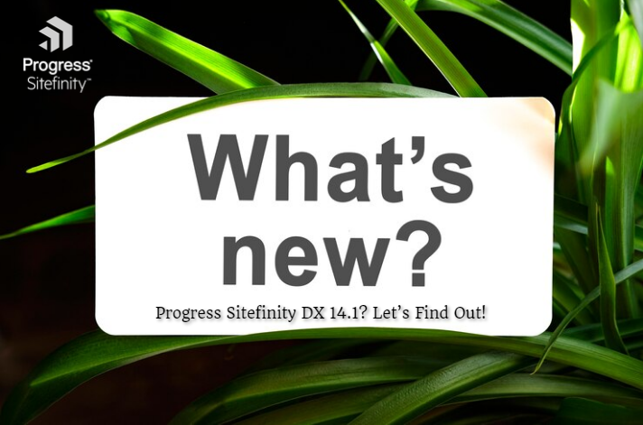 What’s New in Progress Sitefinity DX 14.1 Let’s Find Out!