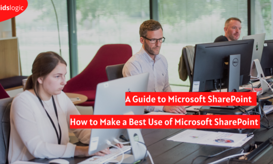 A Useful Guide on Using Microsoft SharePoint to the Fullest