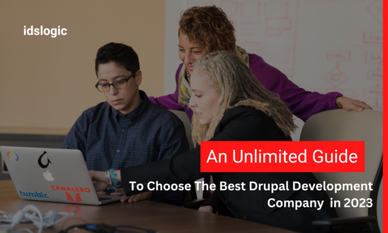 An Ultimate Guide on Choosing the Best Drupal Development Company in 2023
