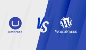 Umbraco vs. WordPress: Which CMS is Right for Your Business?
