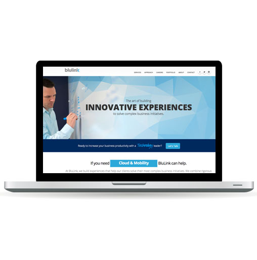 Blulink case study