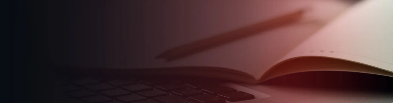 CMS-development-services