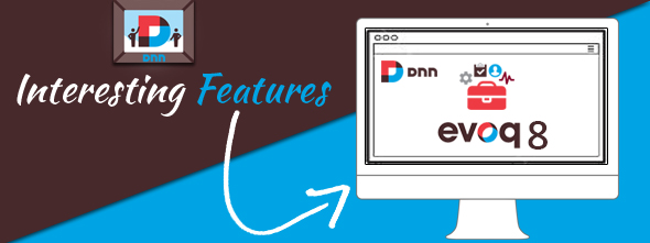 Interesting Features of DNN