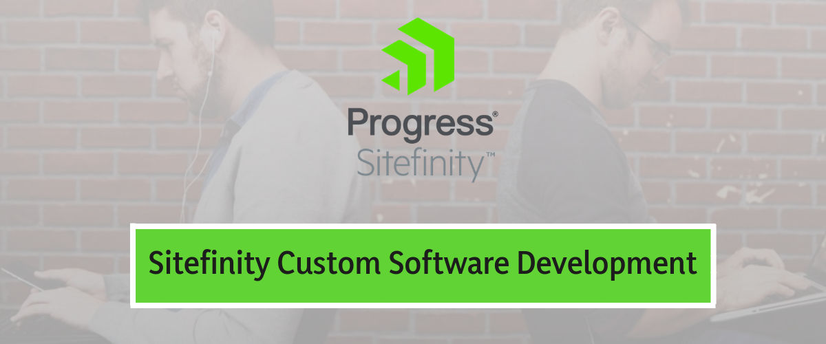 Sitefinity-Custom-Software-Development