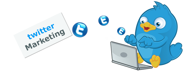 Twitter-marketing-Agency-India