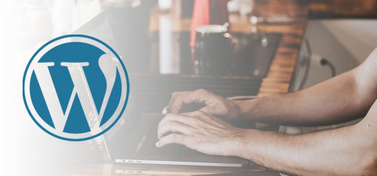 WordPress CMS Development