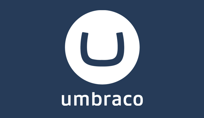 expert Umbraco team