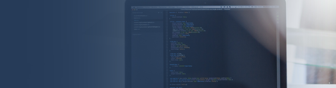 WordPress-Integration-Services