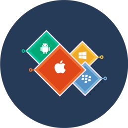 Cross Platform Mobile App Development