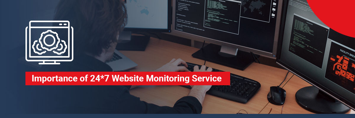 Importance of 24x7 Website Monitoring Service