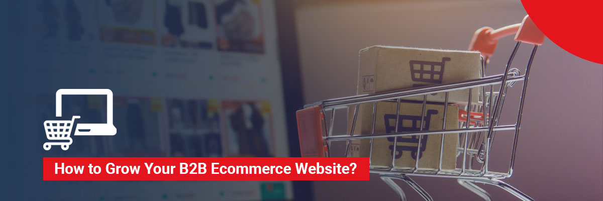 How to Grow Your B2B Ecommerce Website