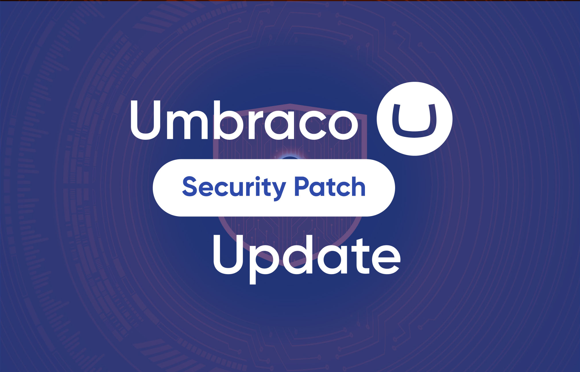 Umbraco’s Recent Security Patch Release Update