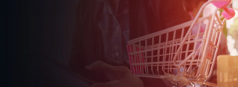 Ecommerce development page banner